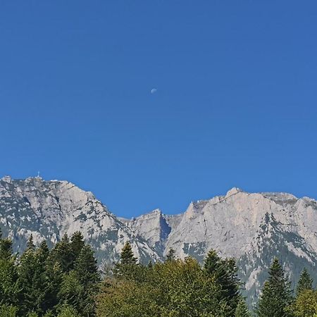 Pensiunea Luna Буштени Экстерьер фото