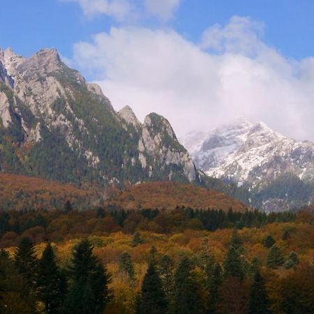 Pensiunea Luna Буштени Экстерьер фото