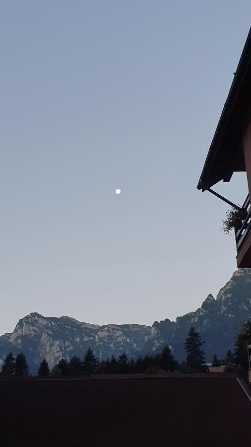 Pensiunea Luna Буштени Экстерьер фото